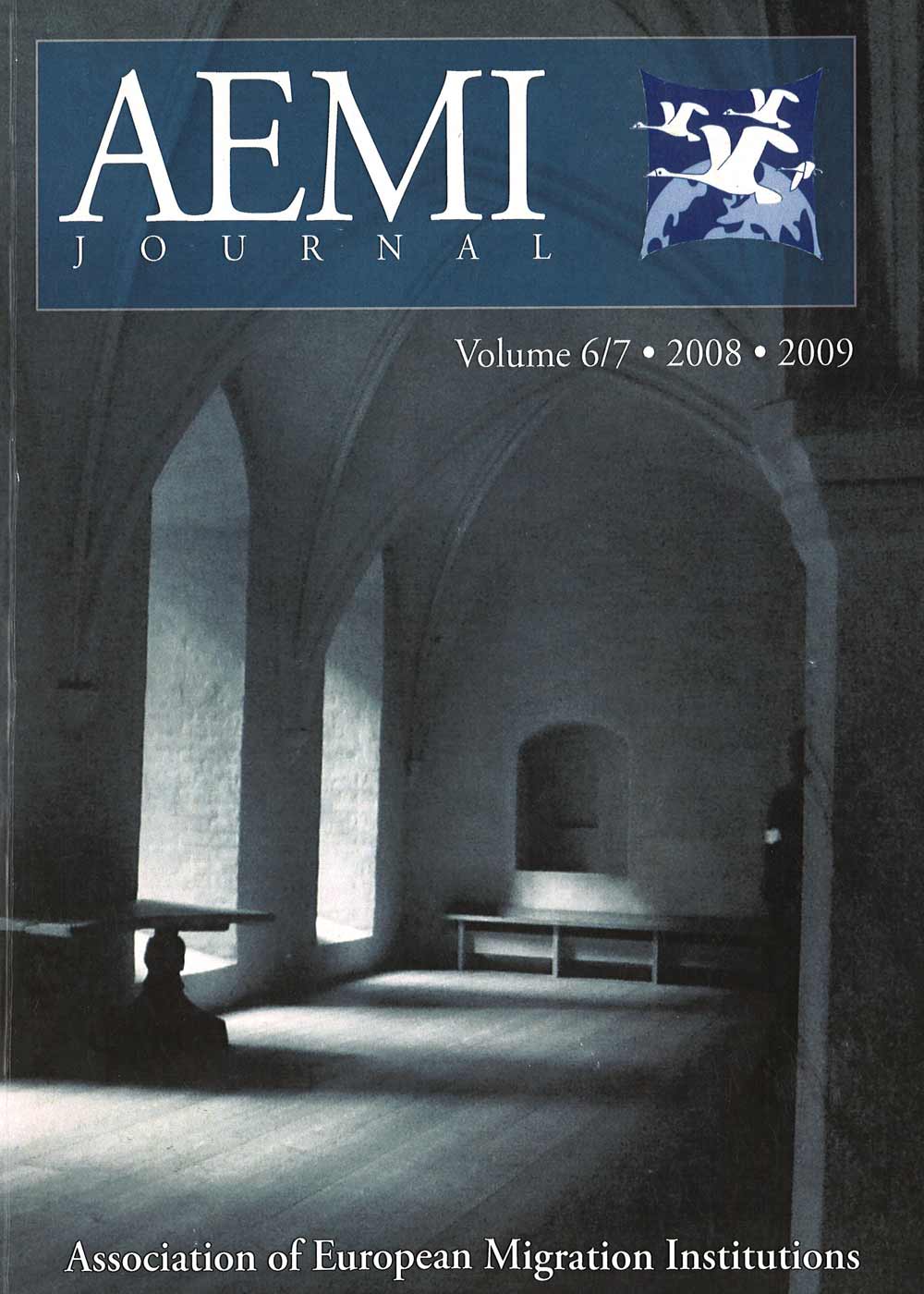 AEMI Journal – Volume 6/7 (2008-2009)